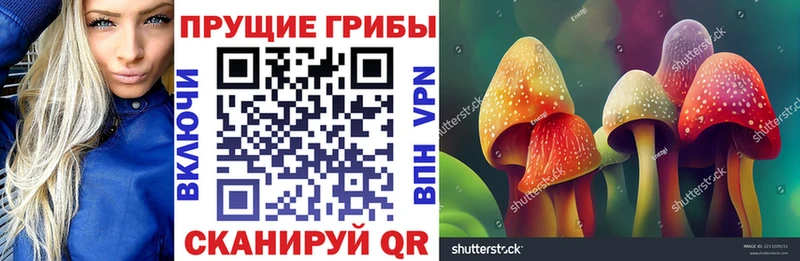 Псилоцибиновые грибы прущие грибы  Купить закладки  Весьегонск 